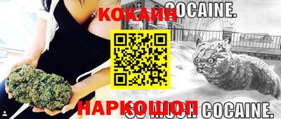 мдпв Донецк