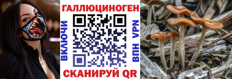 хочу дарк нет состав ОМГ ОМГ как зайти Псилоцибиновые грибы мицелий Тобольск