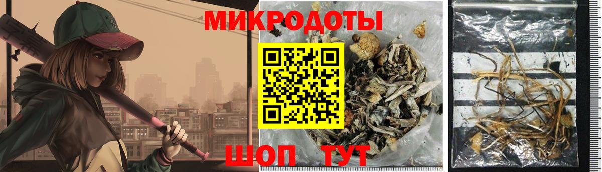Псилоцибиновые грибы Psilocybe Тобольск